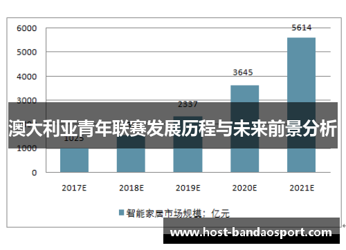 澳大利亚青年联赛发展历程与未来前景分析