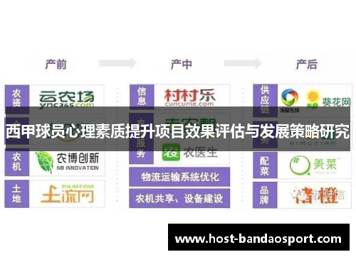 西甲球员心理素质提升项目效果评估与发展策略研究