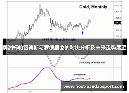 美洲杯帕雷德斯与罗德里戈的对决分析及未来走势展望