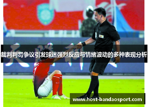 裁判判罚争议引发球迷强烈反应与情绪波动的多种表现分析