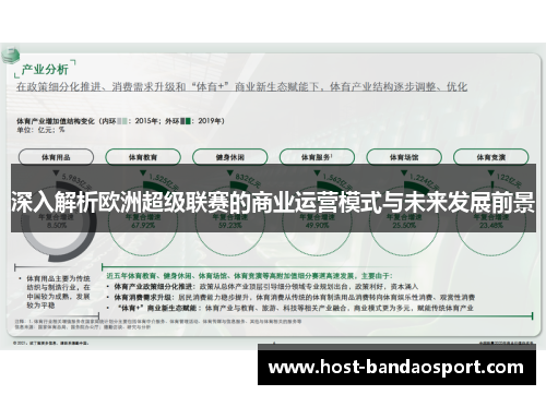 深入解析欧洲超级联赛的商业运营模式与未来发展前景